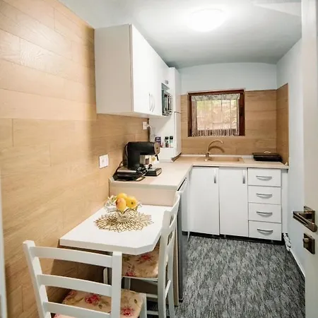 Homestay Dadi House Sibiu